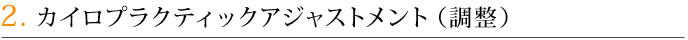 2．カイロプラクティックアジャストメント（調整）